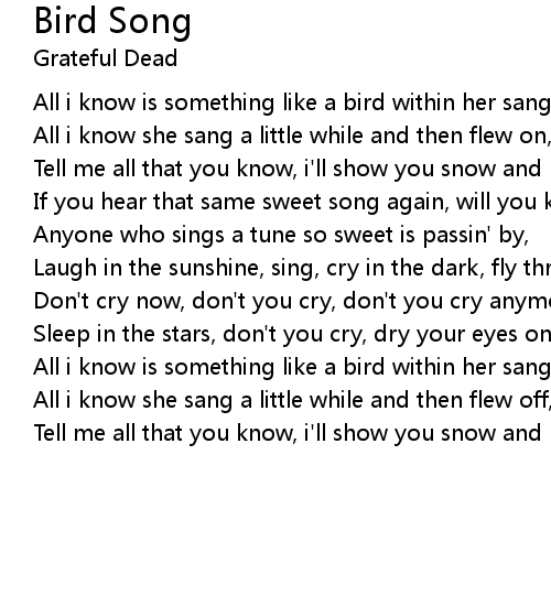 Bird Song Lyrics