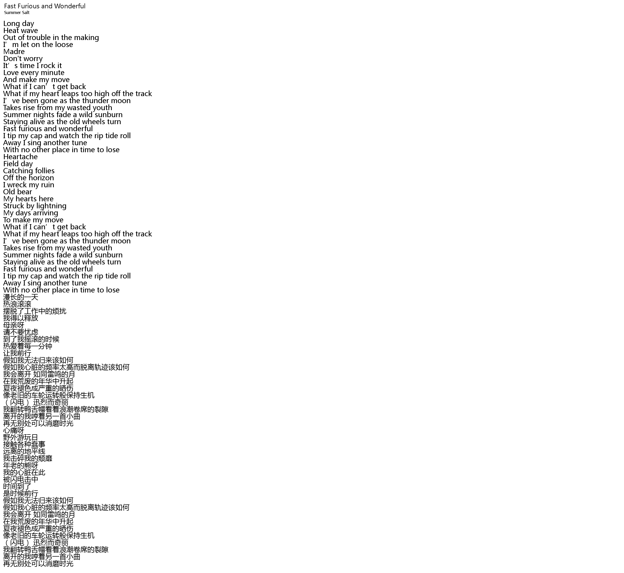 Fast Furious and Wonderful Lyrics - Follow Lyrics