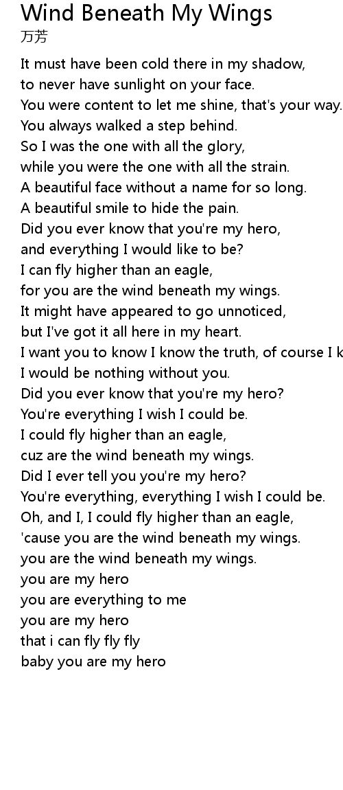 Wind Beneath My Wings Lyrics Follow Lyrics