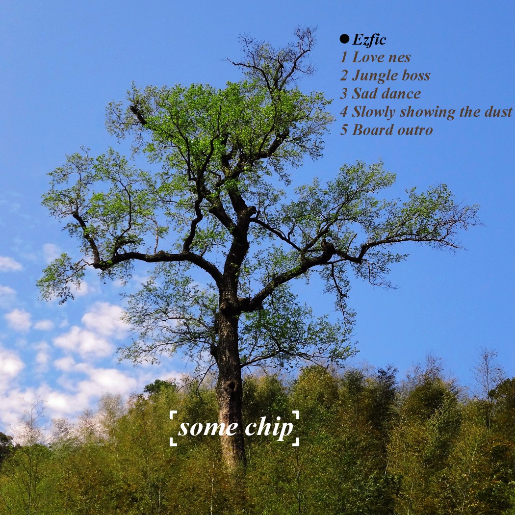 Slowly showing the dust