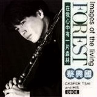 zai wo xin zhong you yi pian sen lin