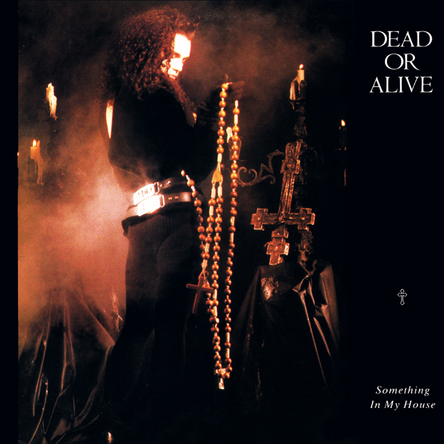 Something In My House (Single Version)