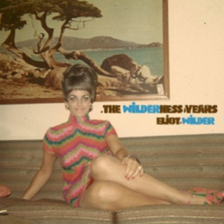The Wilderness Years