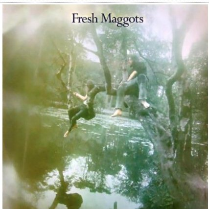 Everyone's Gone to War