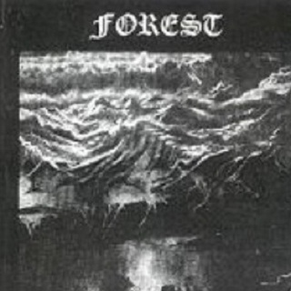 Like a Blaze Above the Ashes