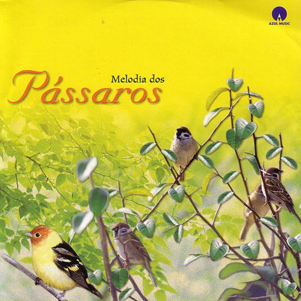 Melodia Dos Passaros