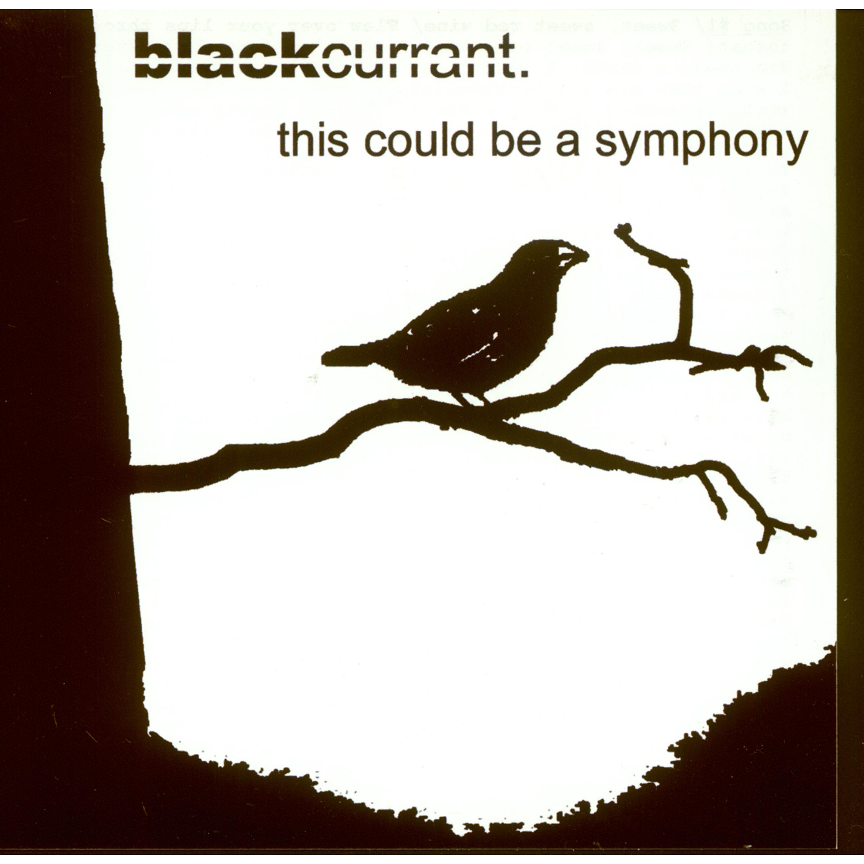 This Could Be A Symphony