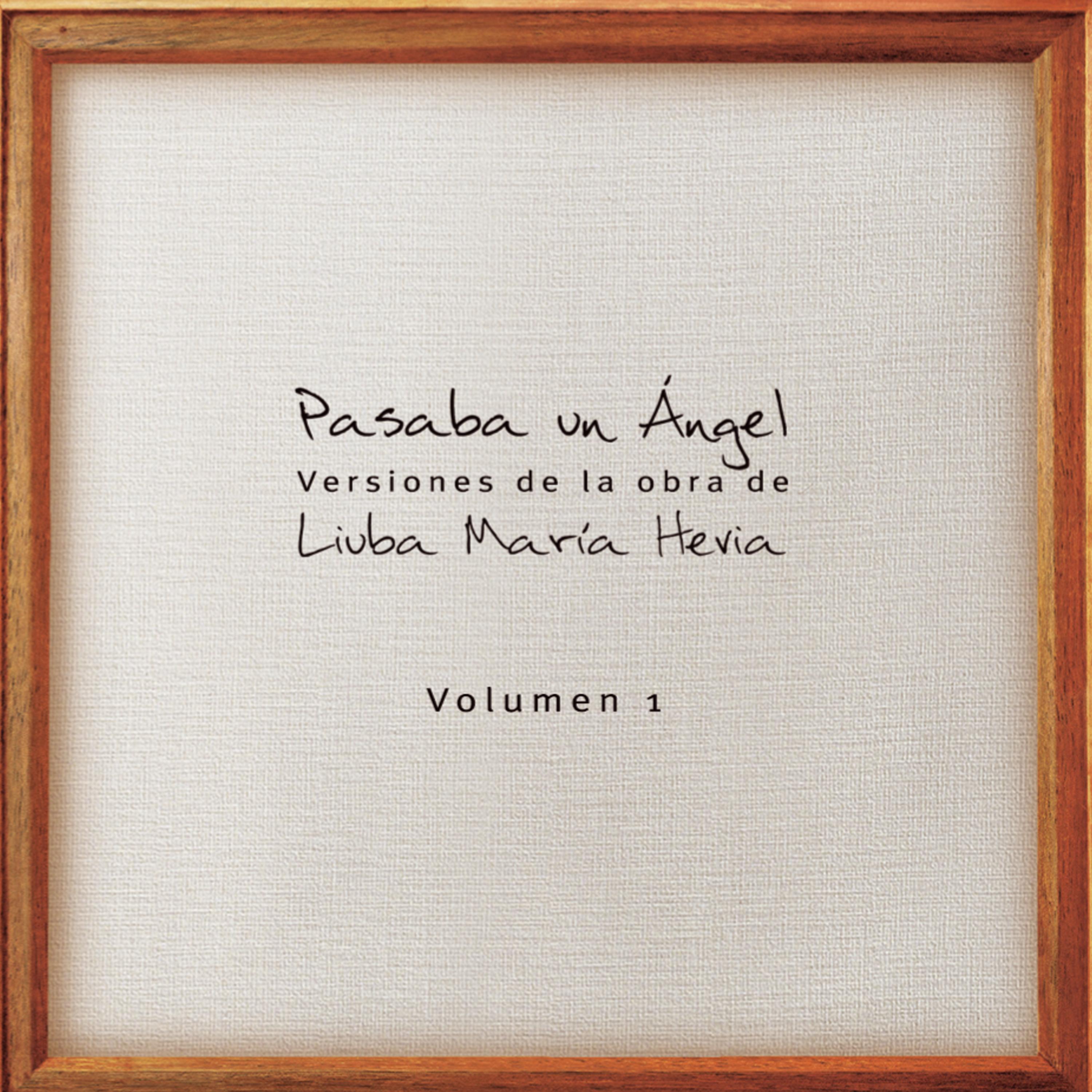 Pasaba un Á ngel, Vol. 1