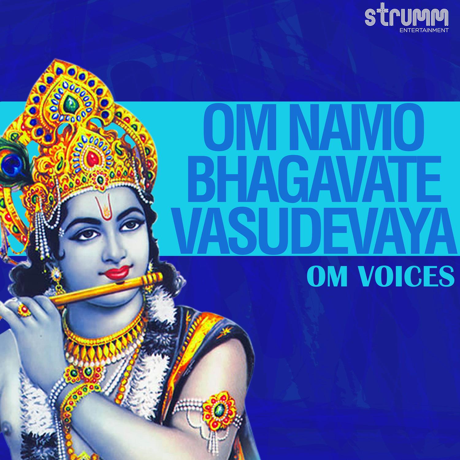 Om Namo Bhagavate Vasudevaya