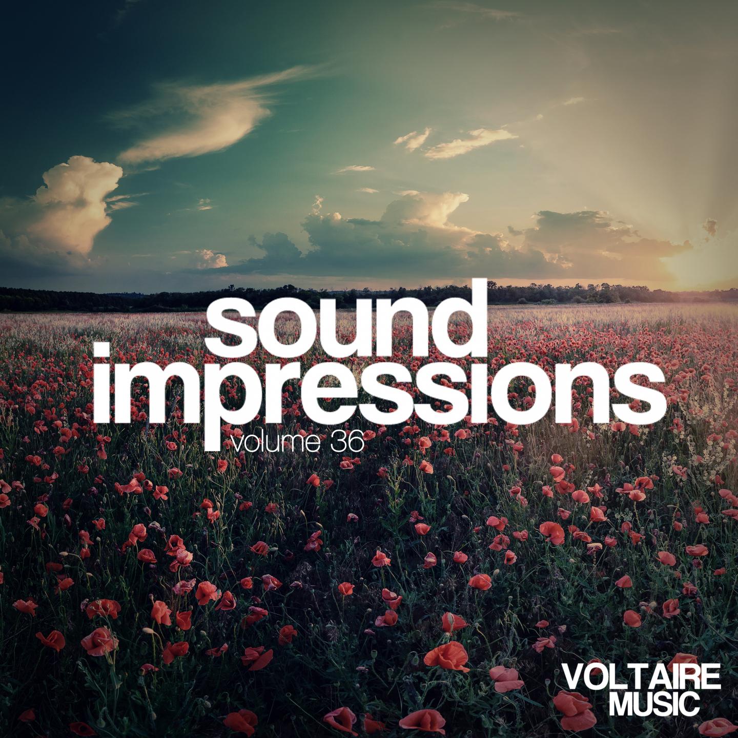 Sound Impressions, Vol. 36