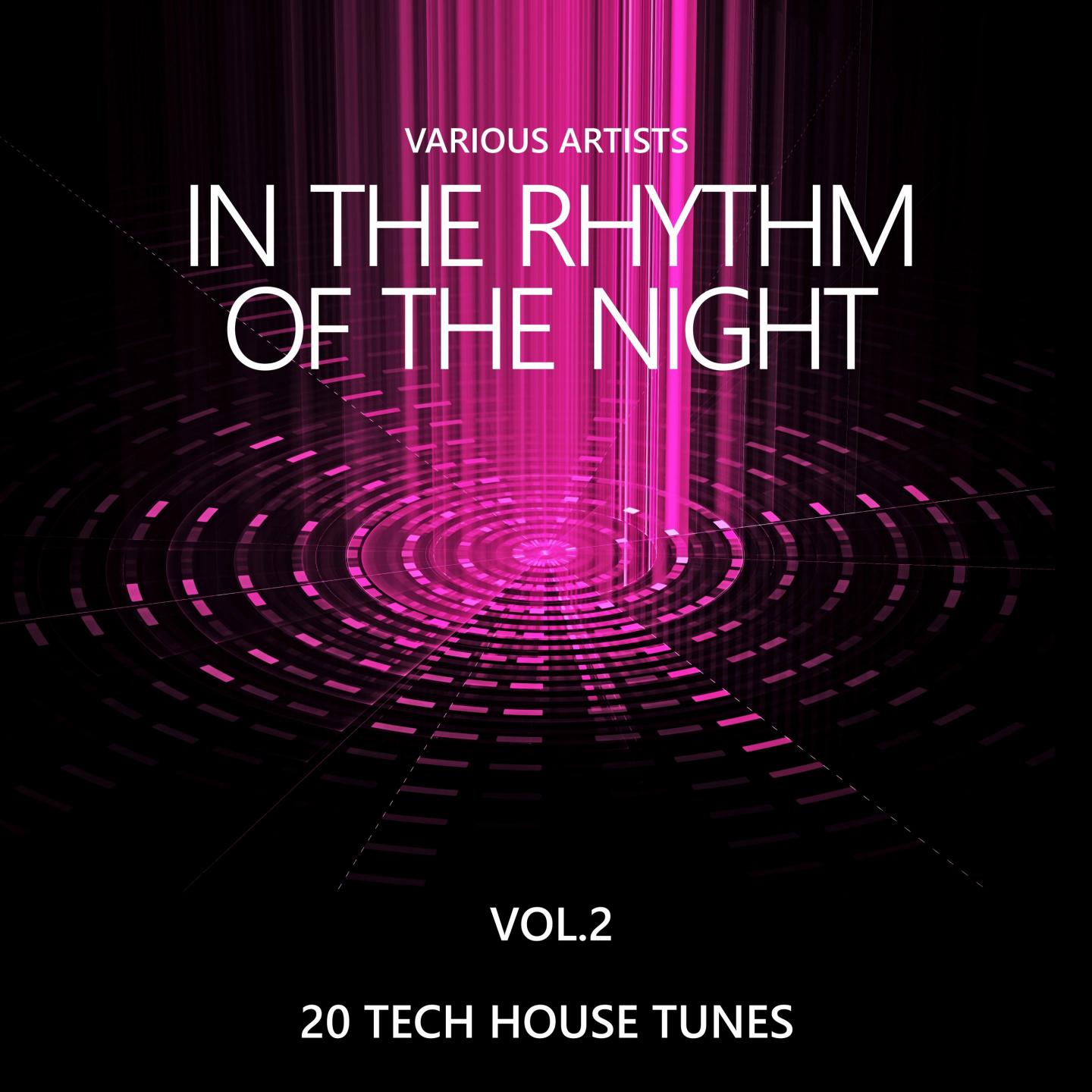 In the Rhythm of the Night (20 Tech House Tunes), Vol. 2