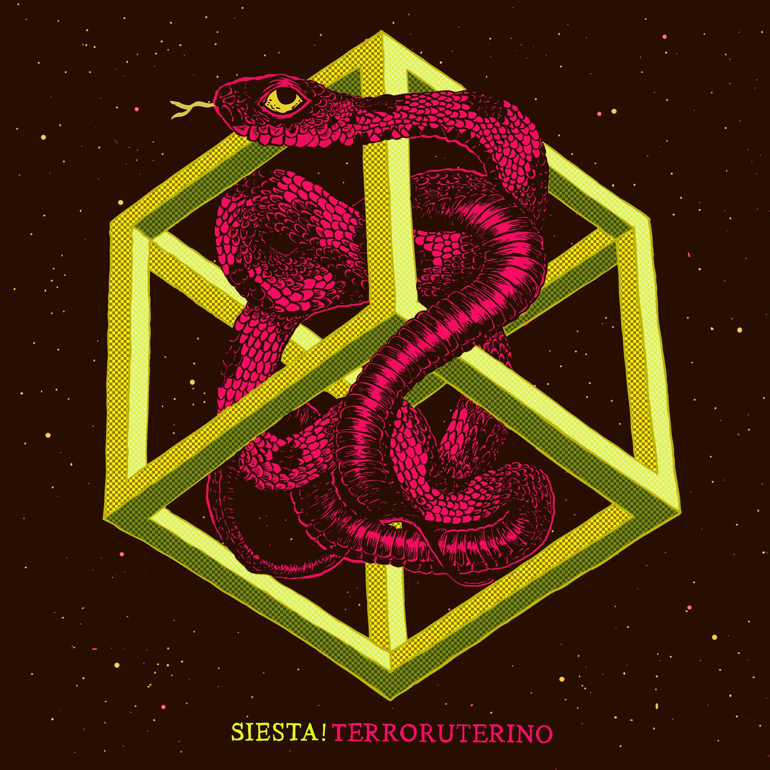 A una Chica Llevari a una Isla Desierta