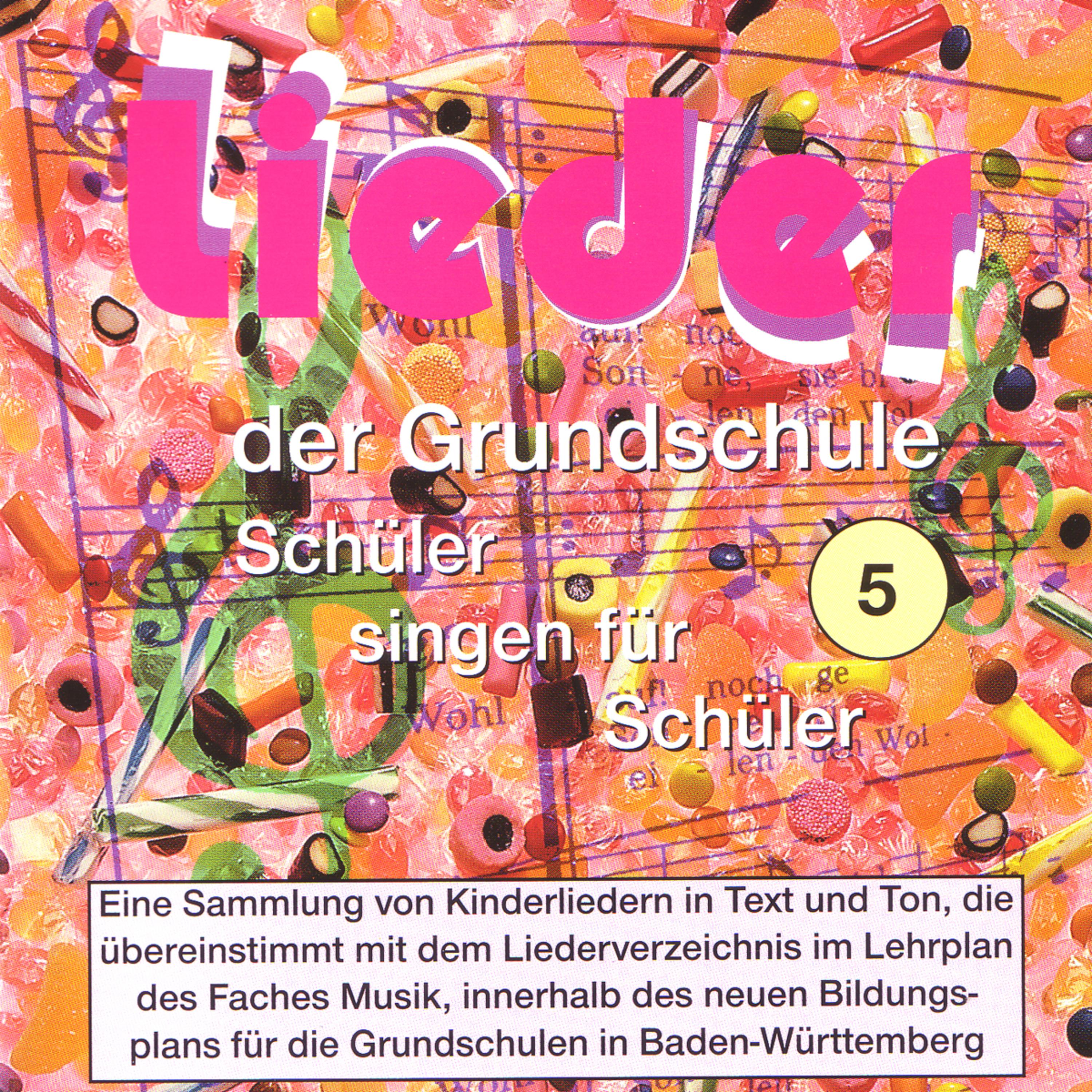 Leute, habt ihr schon einmal probiert (Playback) (Instrumental)