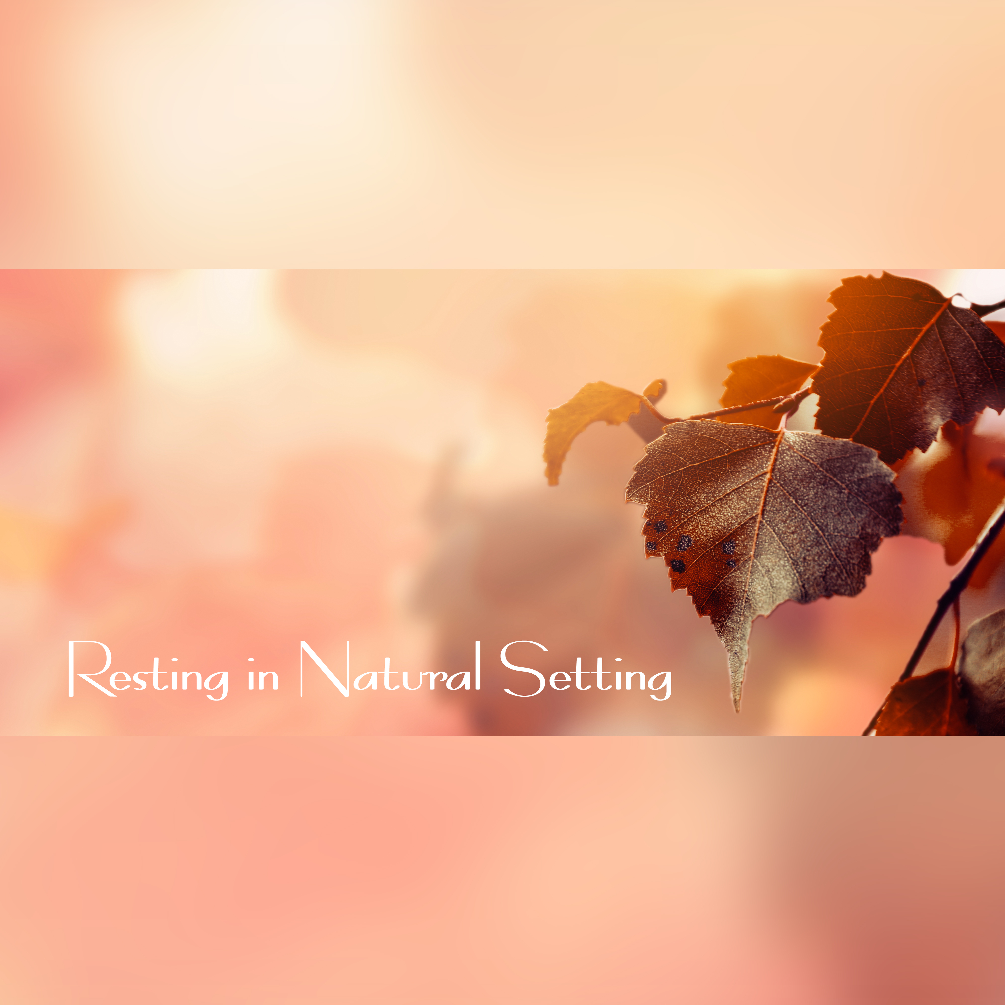 Resting in Natural Setting: Pleasant Sounds of Nature, Calming and Relaxing