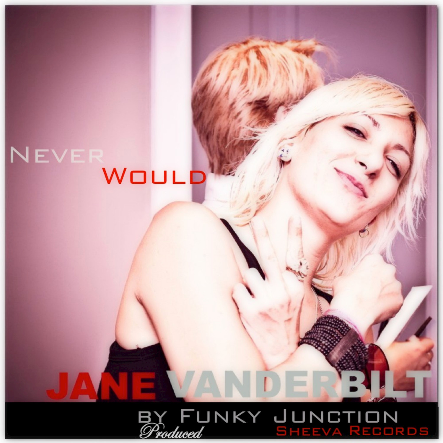 Never Would (Funky Junction Violins in My Mind Mix)