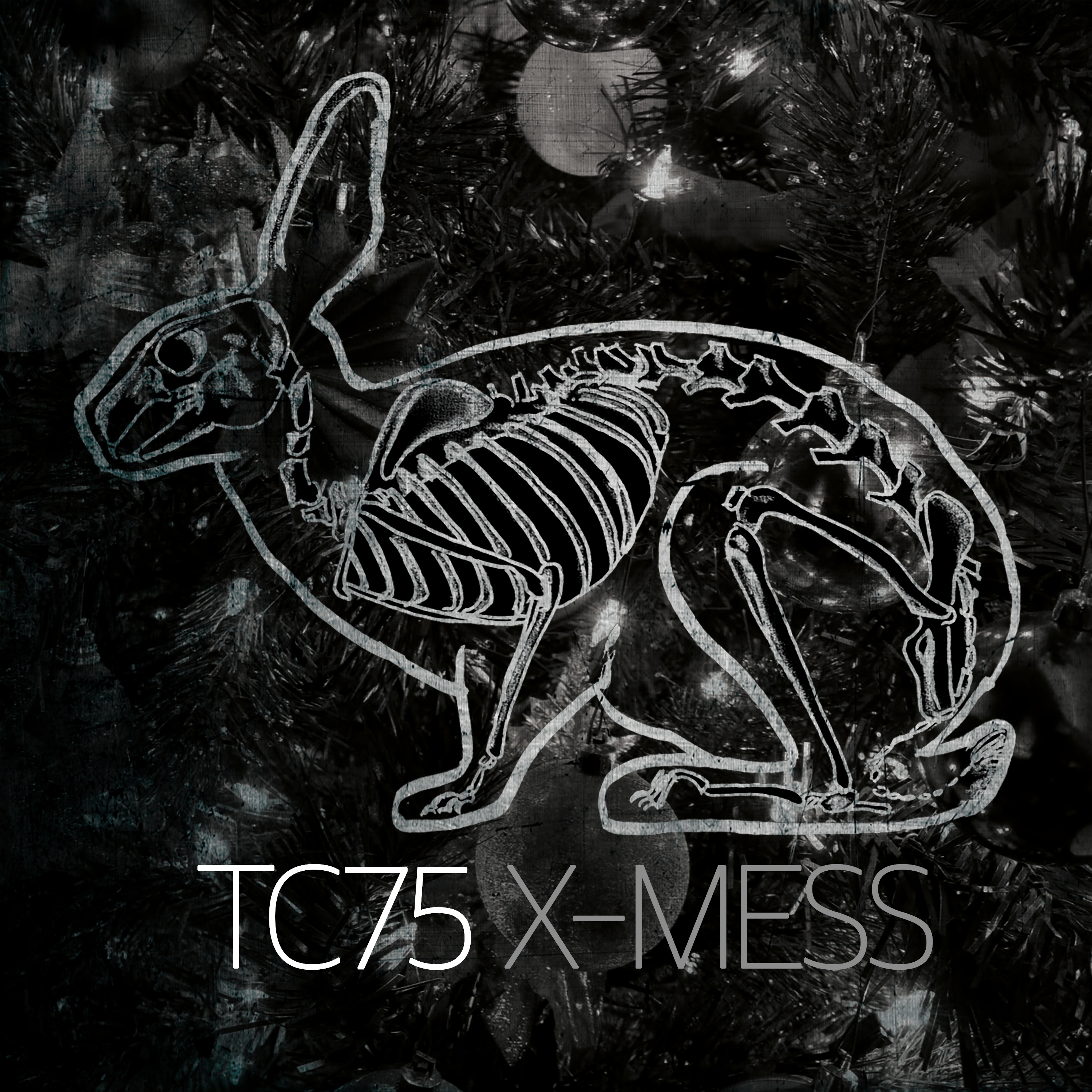 Lies (Hartung & Schleinitz Remix)