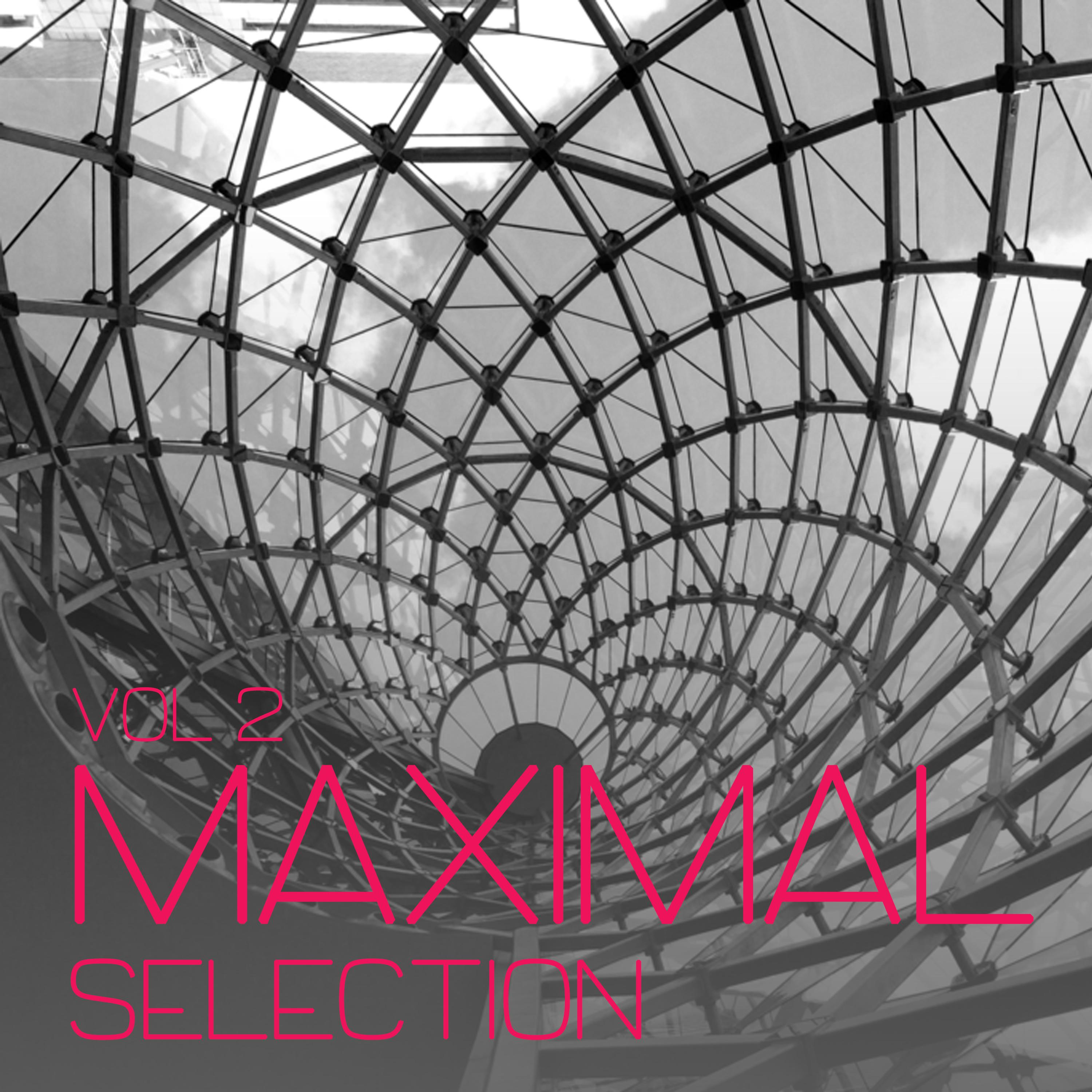 Maximal Selection, Vol. 2 - Minimal Tunes