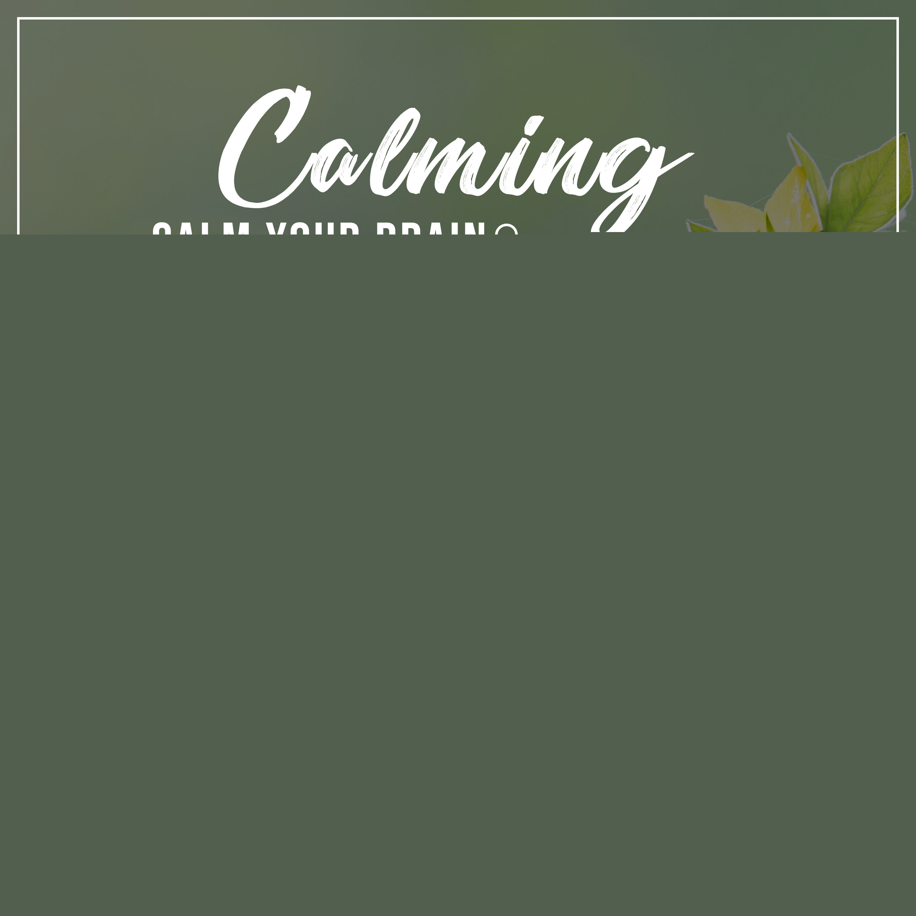 12 Naturally Calming Tracks to Calm your Brain