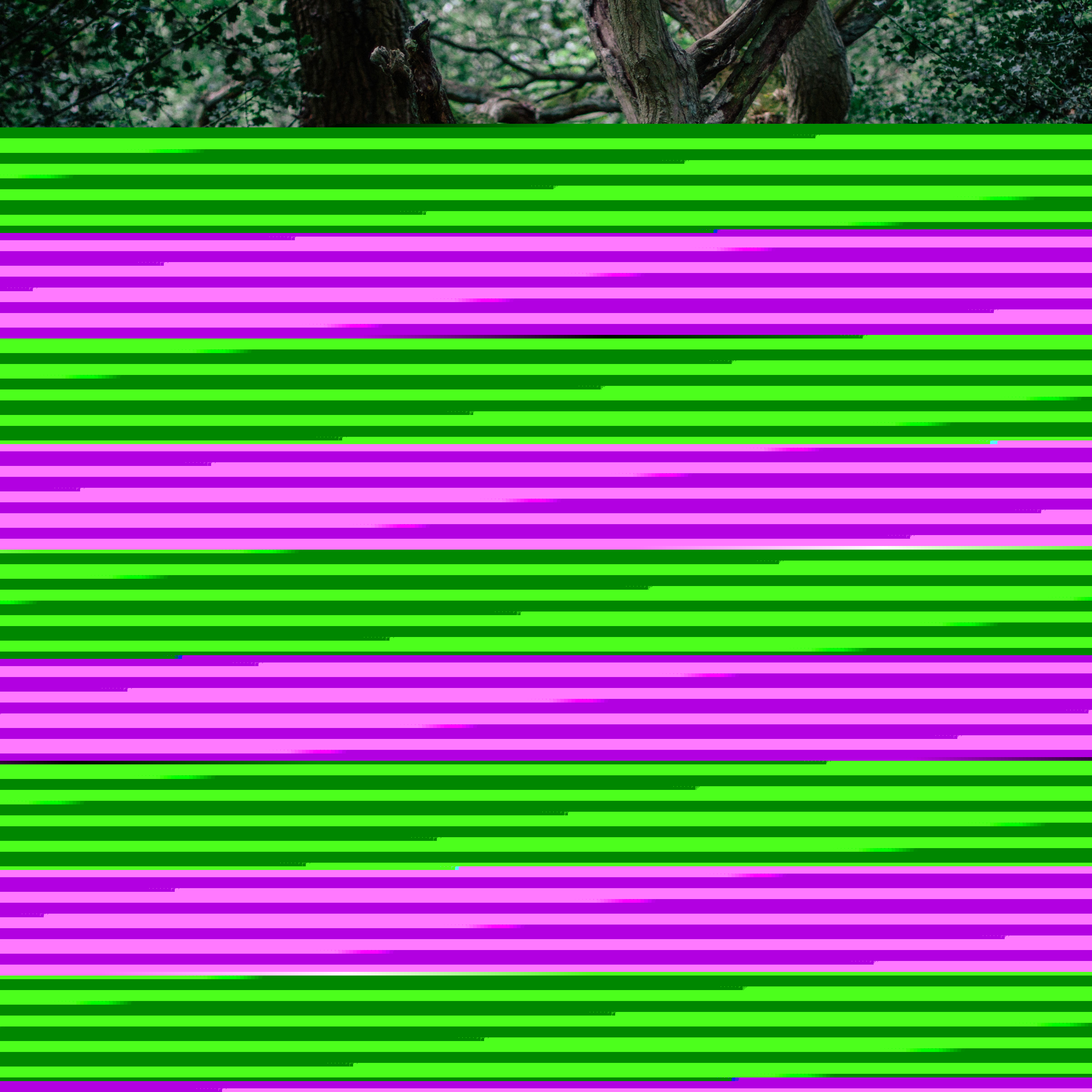 Pass Through the Fire