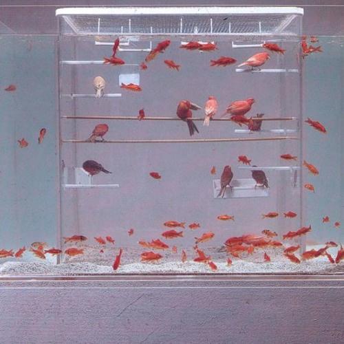 Untitled - 21:11:16, 2.56 AM