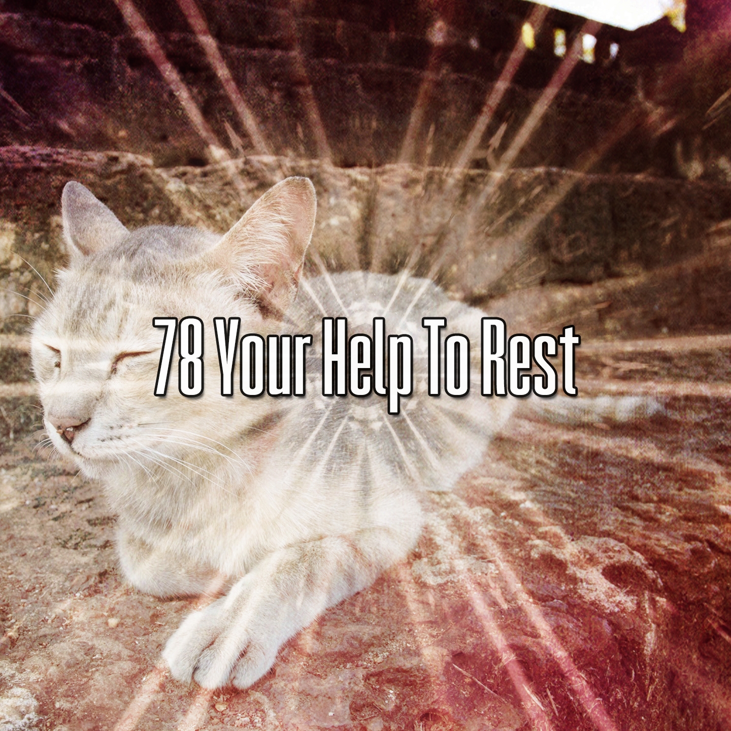 78 Your Help To Rest