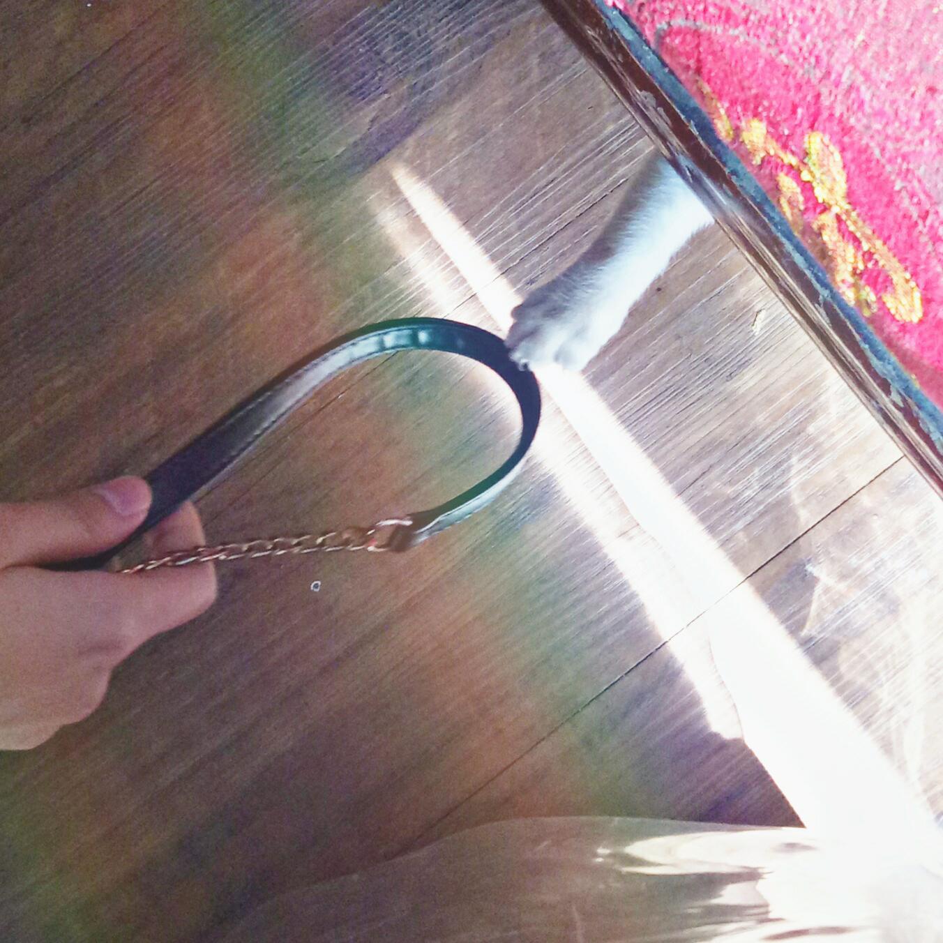 bai yang Cover: xu bing long