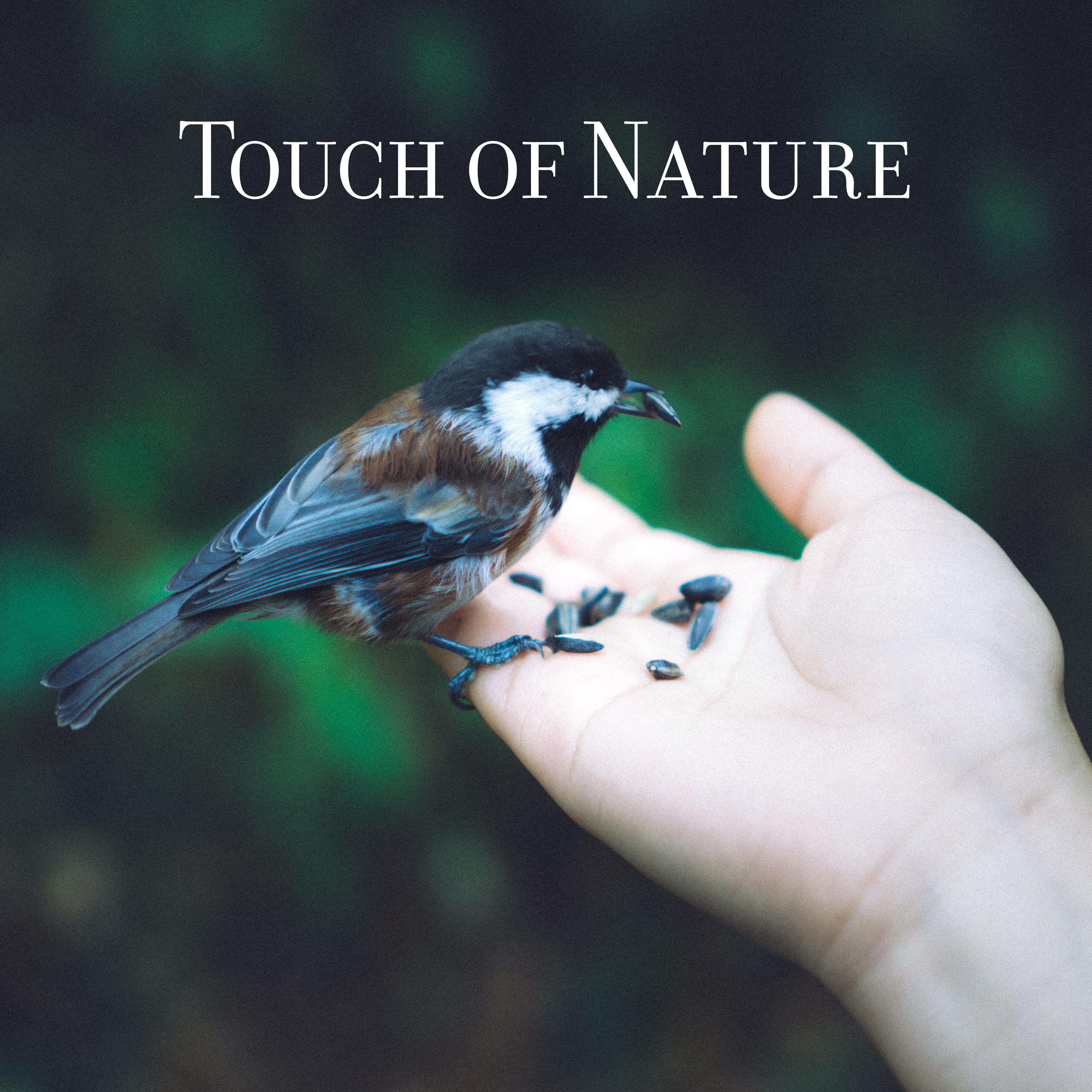 Touch of Nature - Relaxing Music for Spa