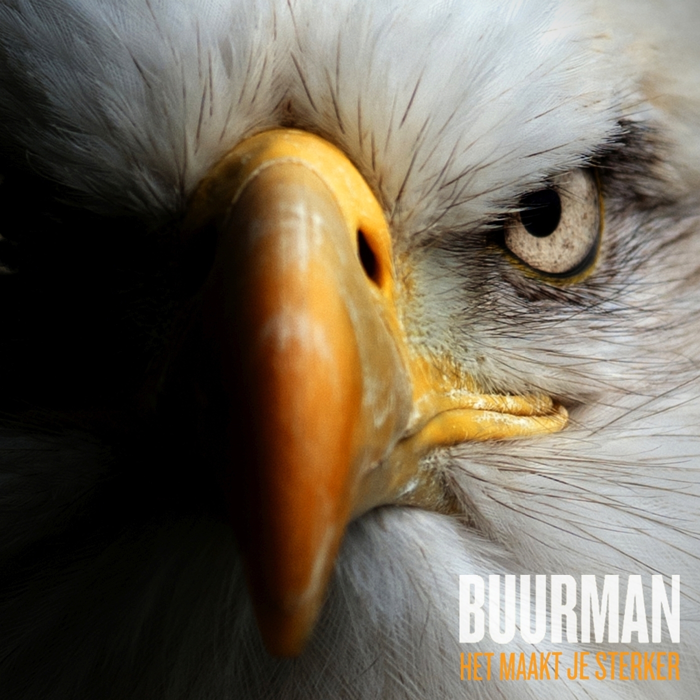 Het Maakt Je Sterker