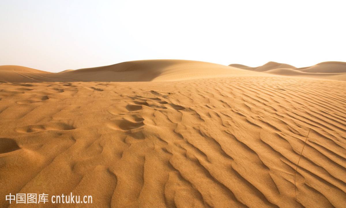 mou cao yuan sha mo yi ri you