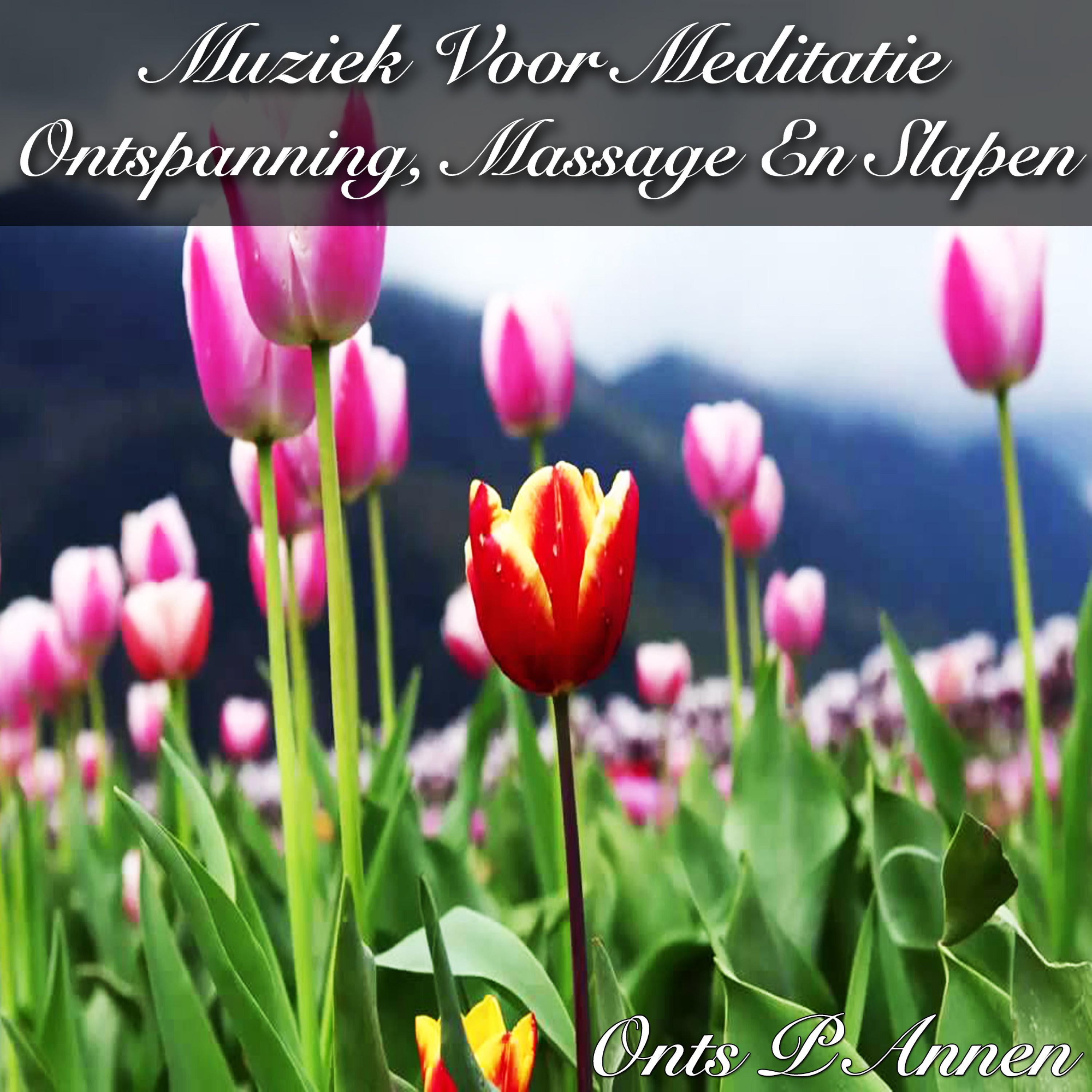 Muziek Voor Meditatie Ontspanning, Massage En Slapen