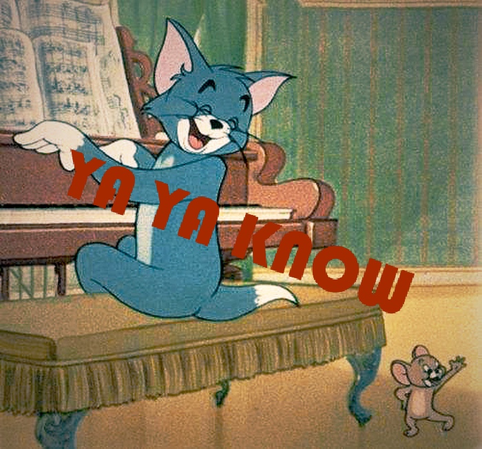 YA YA KNOW