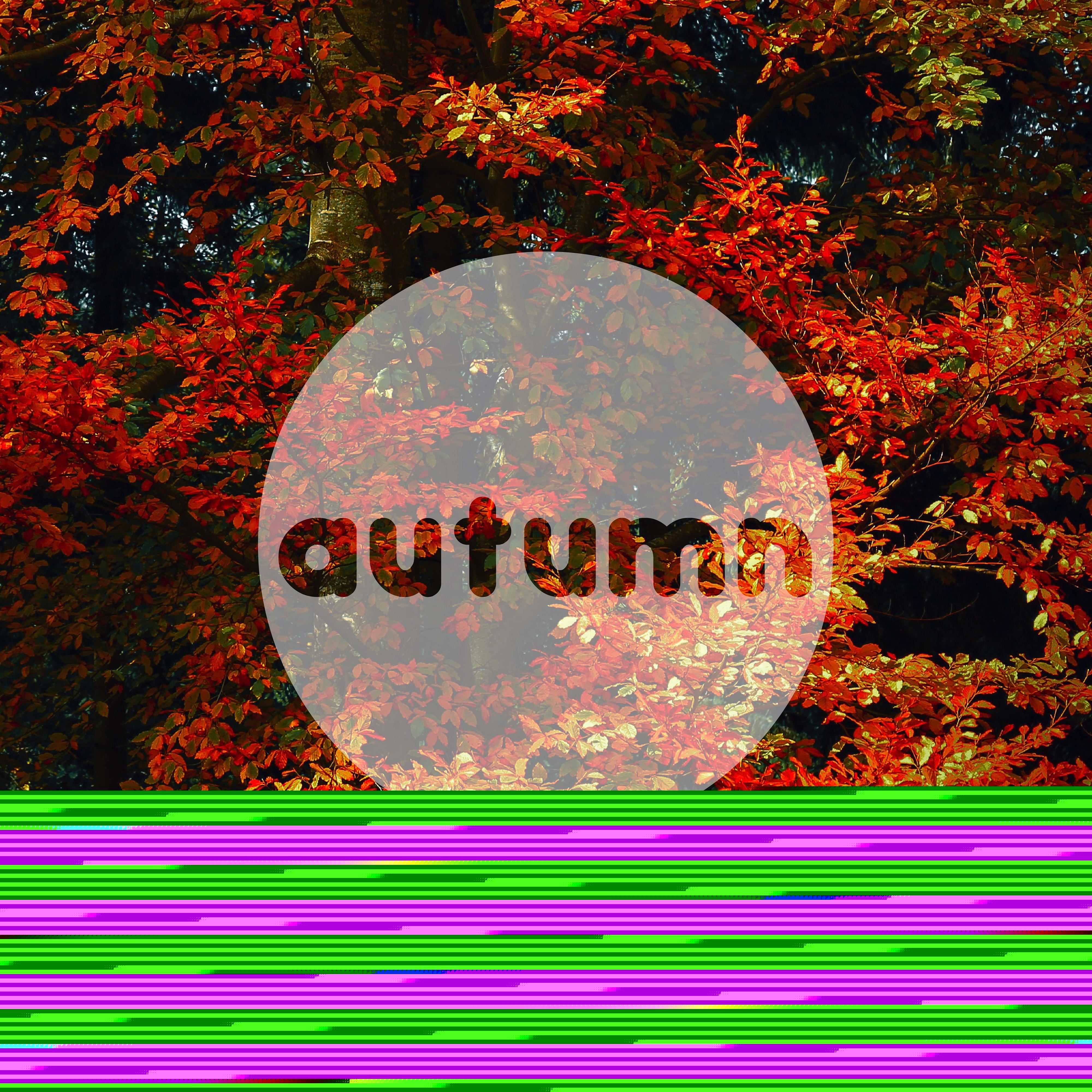 Meet Me At Lookout Point