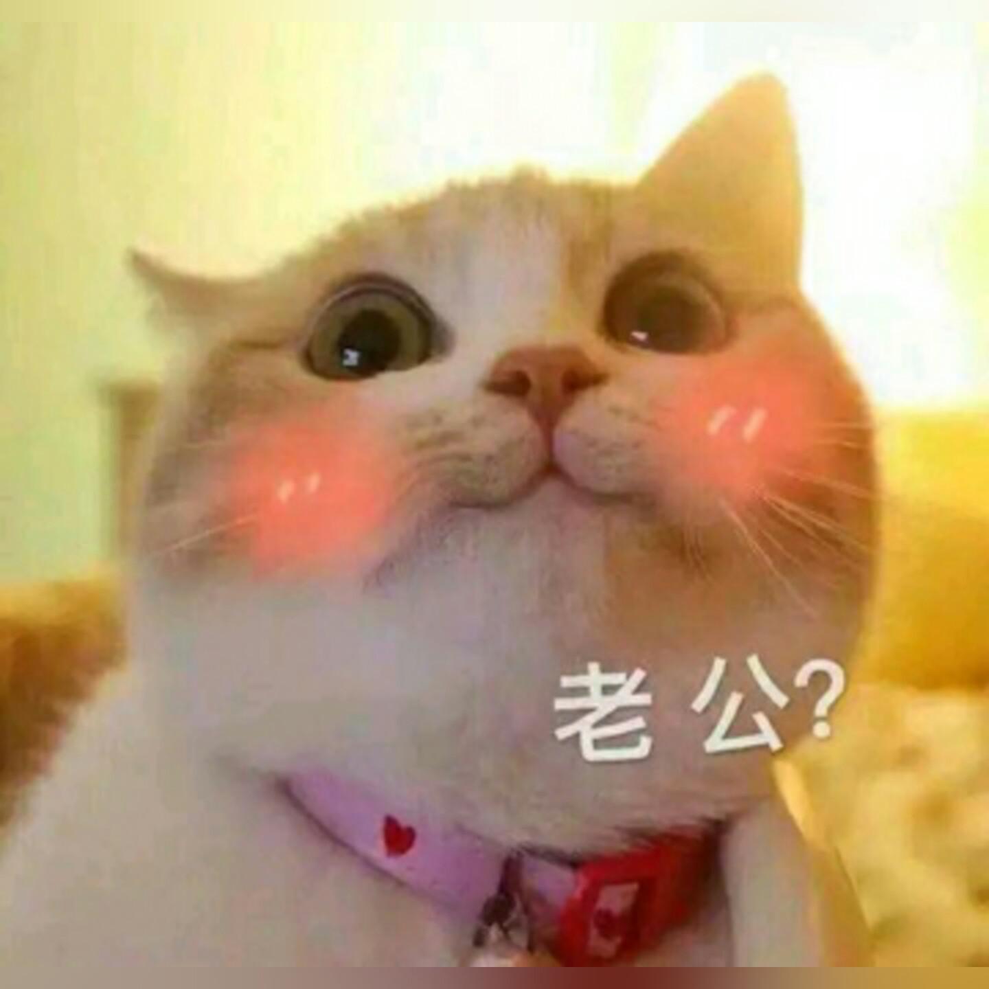 ni shi wo de nan peng you