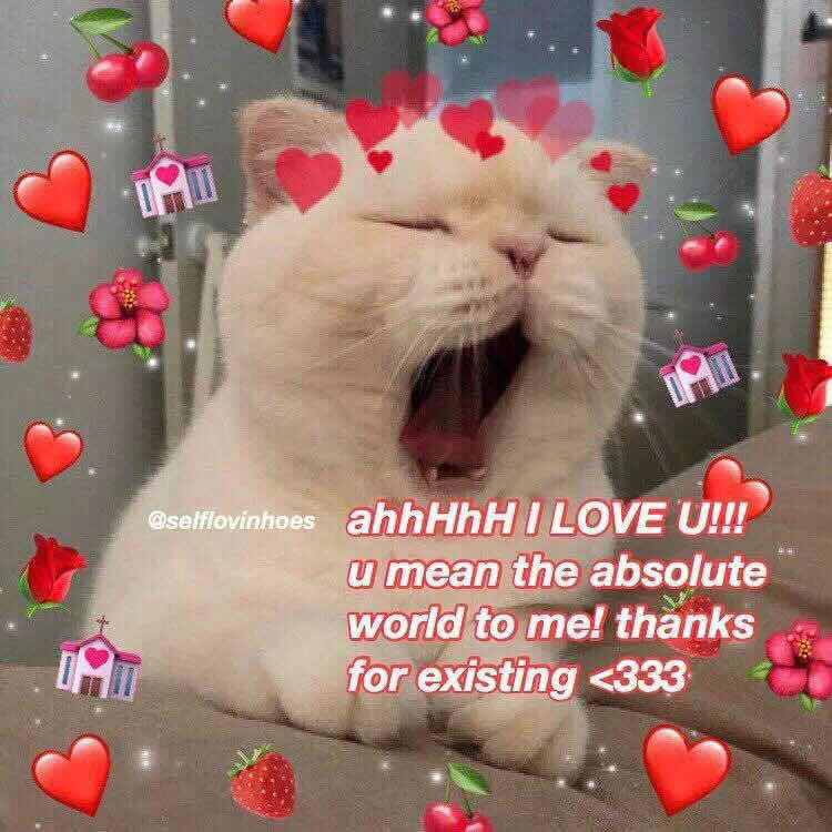 ni guo lai ya wo men qu tai gu li