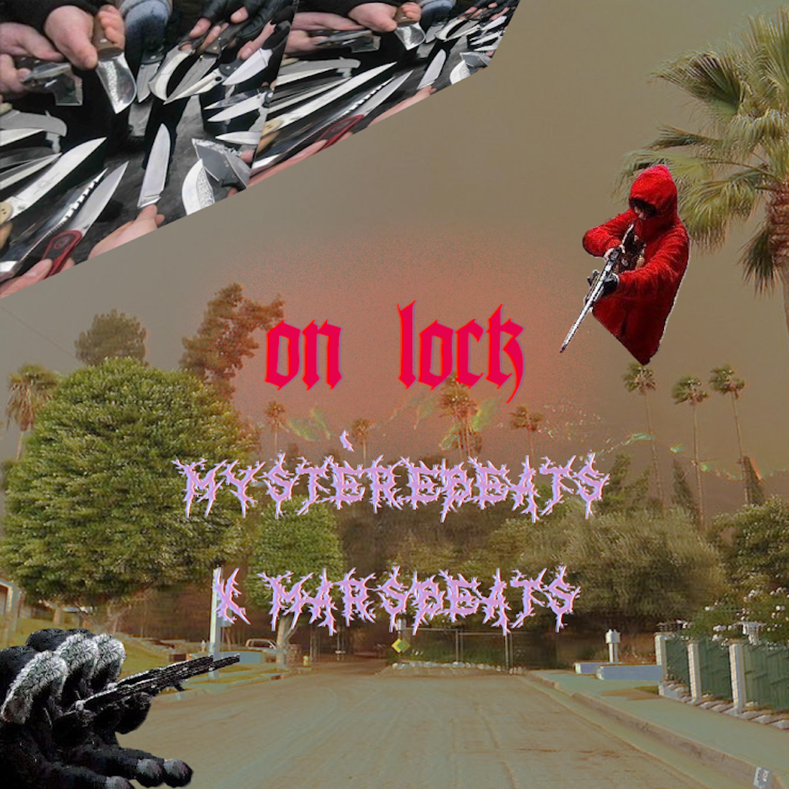 Skill 7 Stamina 12 / Zebra Zebra