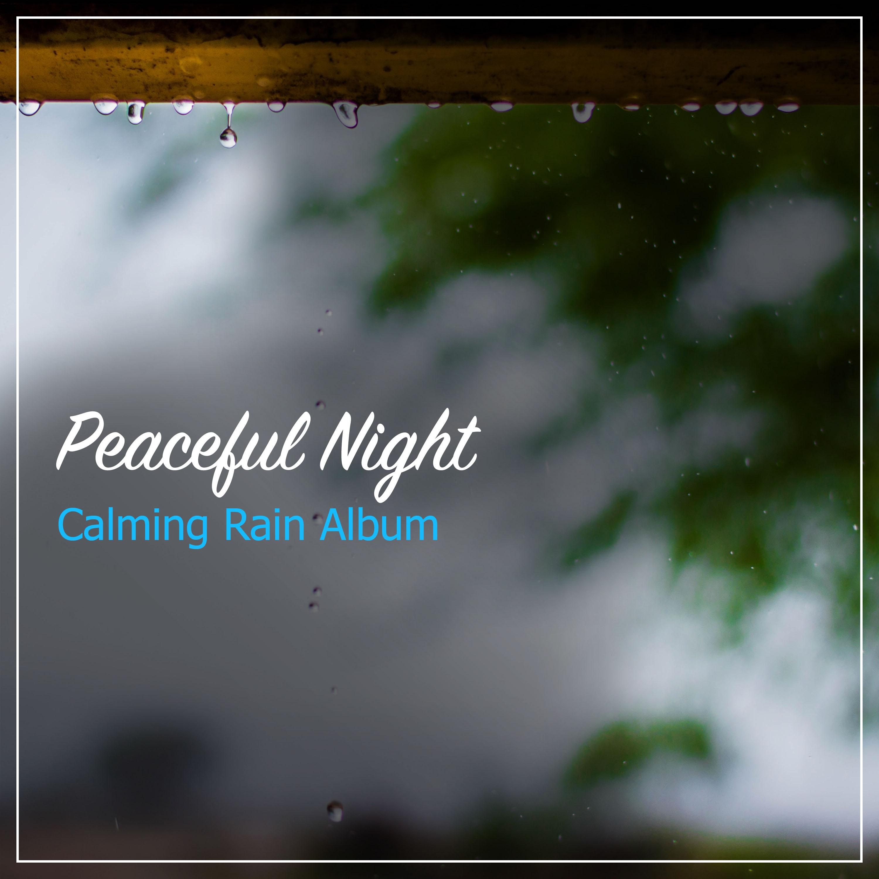 24 Serene Rain Noises for Mindfulness