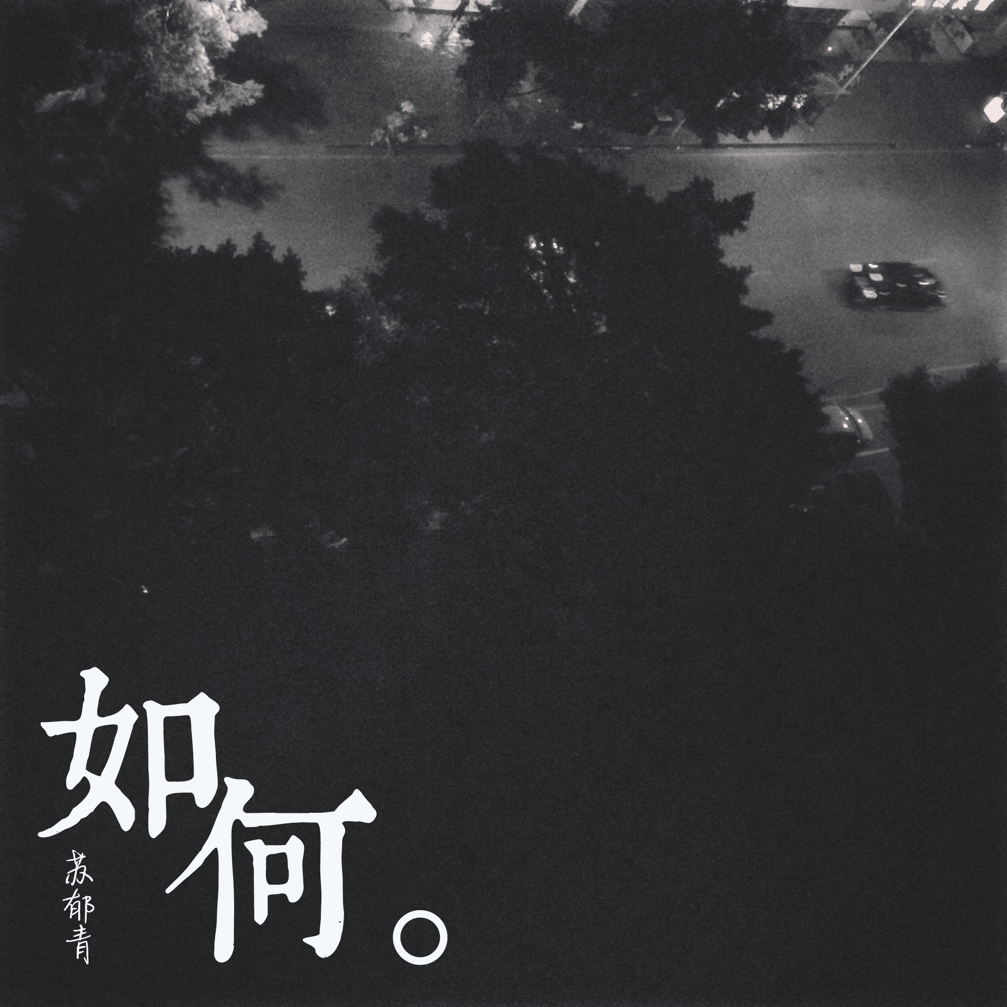 ru he Cover: zhang xuan
