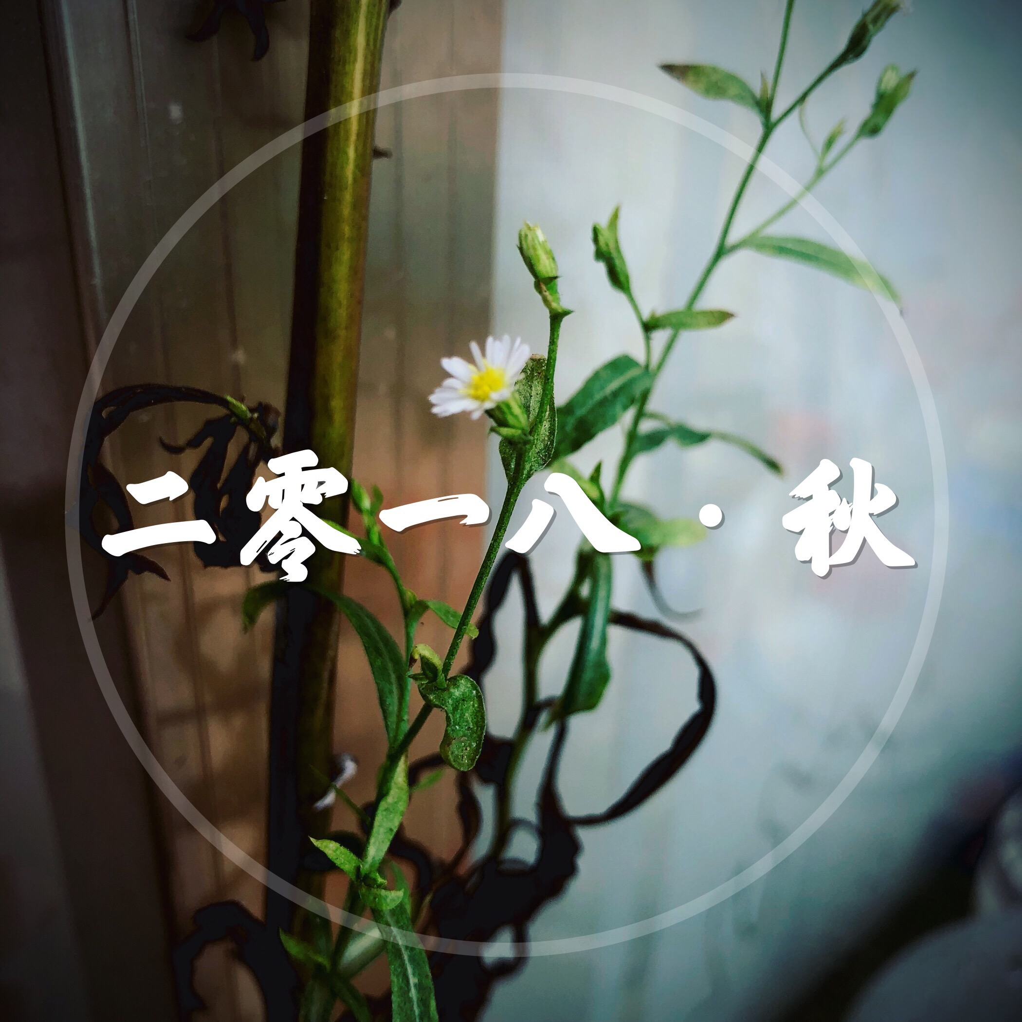 dou wang que bie xiang jian