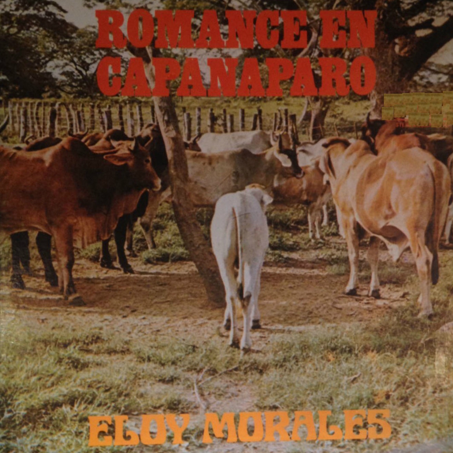 Lamento de un Llanero