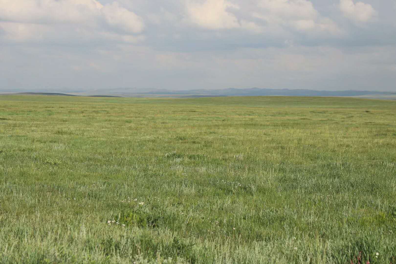 wo de ling cheng wo de gu xiang