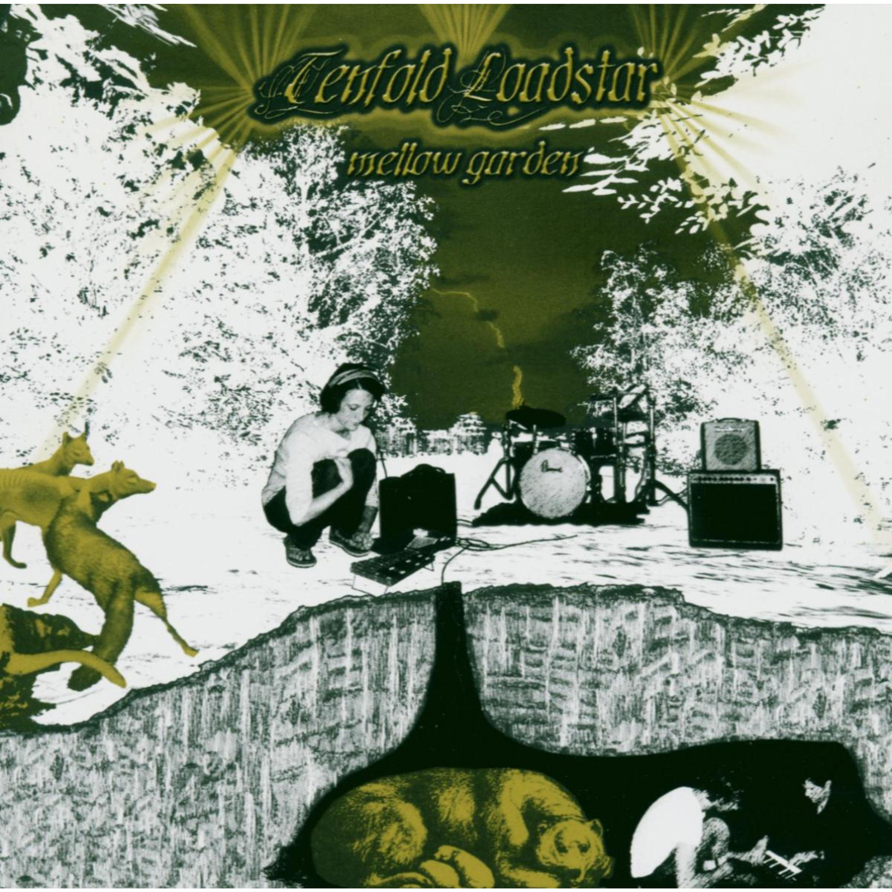 Crashed my fastest car