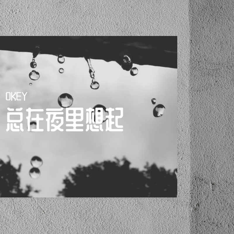 zong zai ye li xiang qi