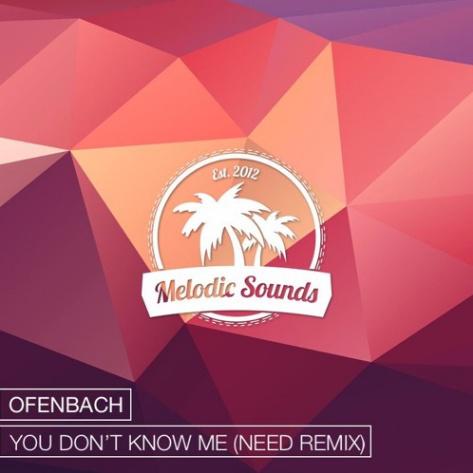 You Don't Know Me (Need Remix)