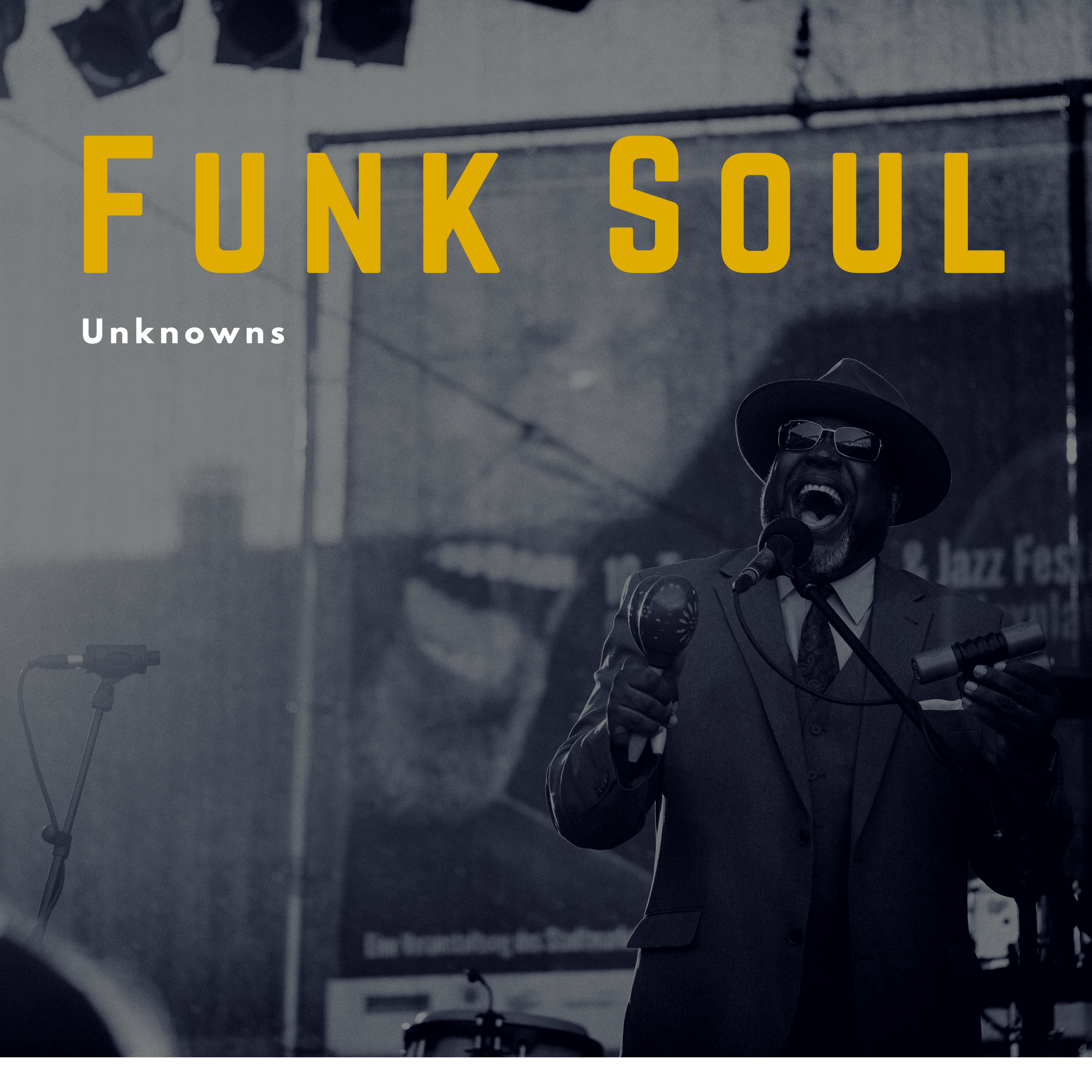 Funk Soul Unknowns (The Rare Grooves)