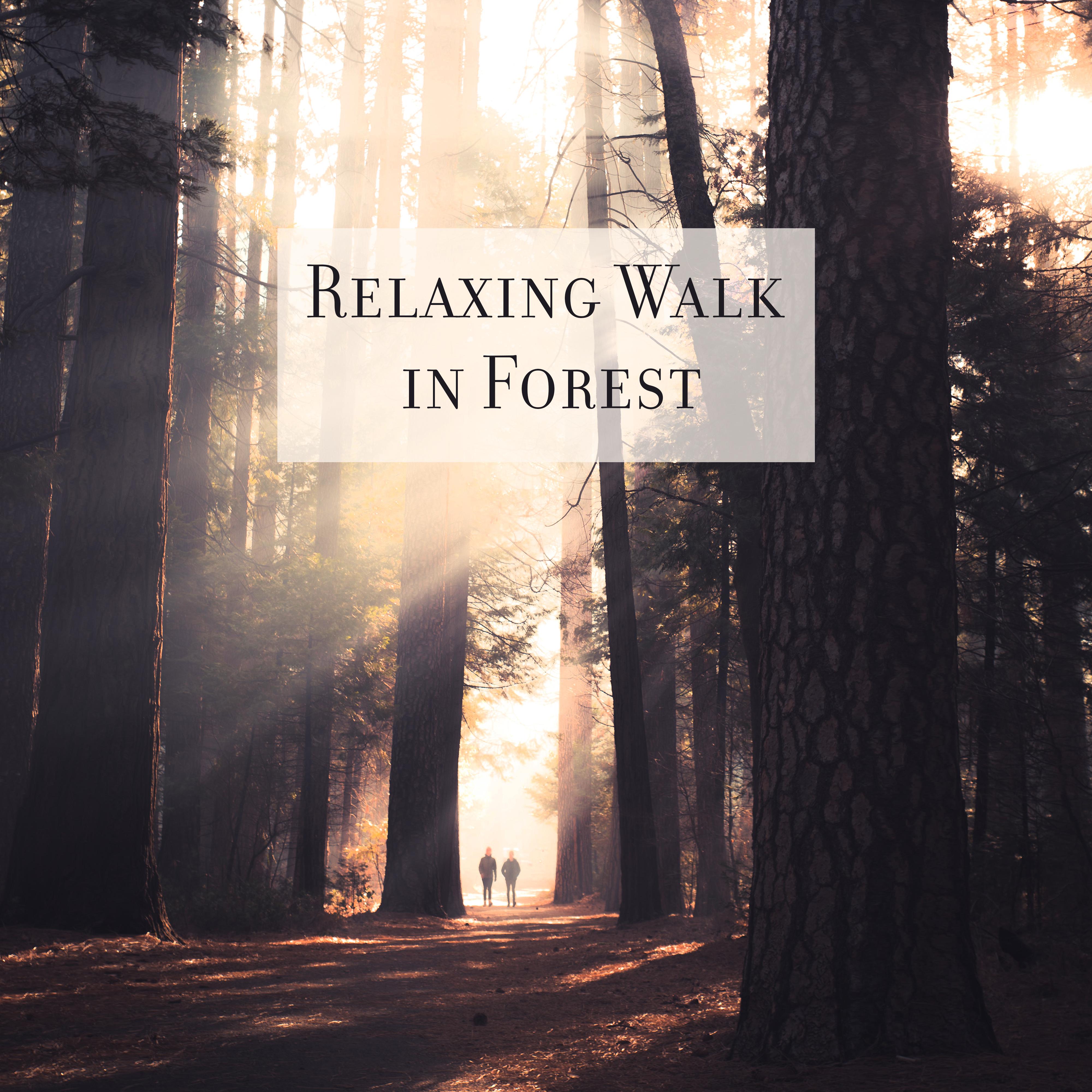 Relaxing Walk in Forest