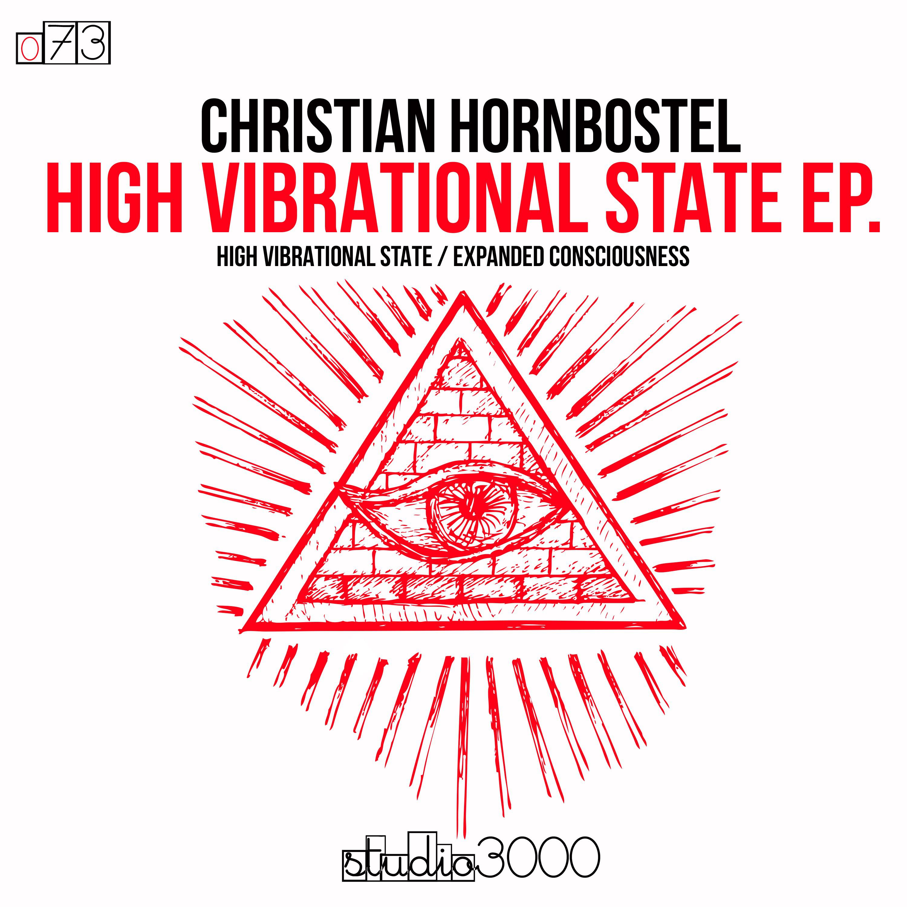 High Vibrational State (Original Mix)