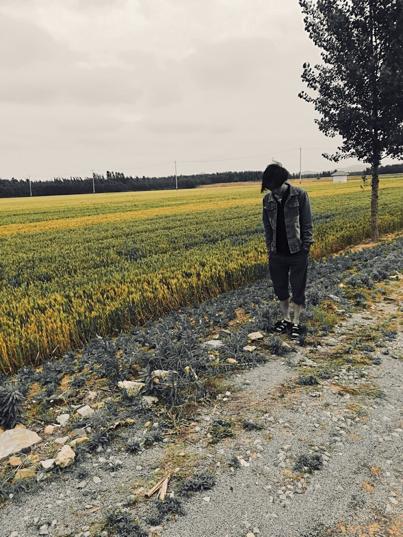 qing bu yao luan ting luan fang sui yi zhuan wan luan da shan guang deng luan kai yuan guang xie xie