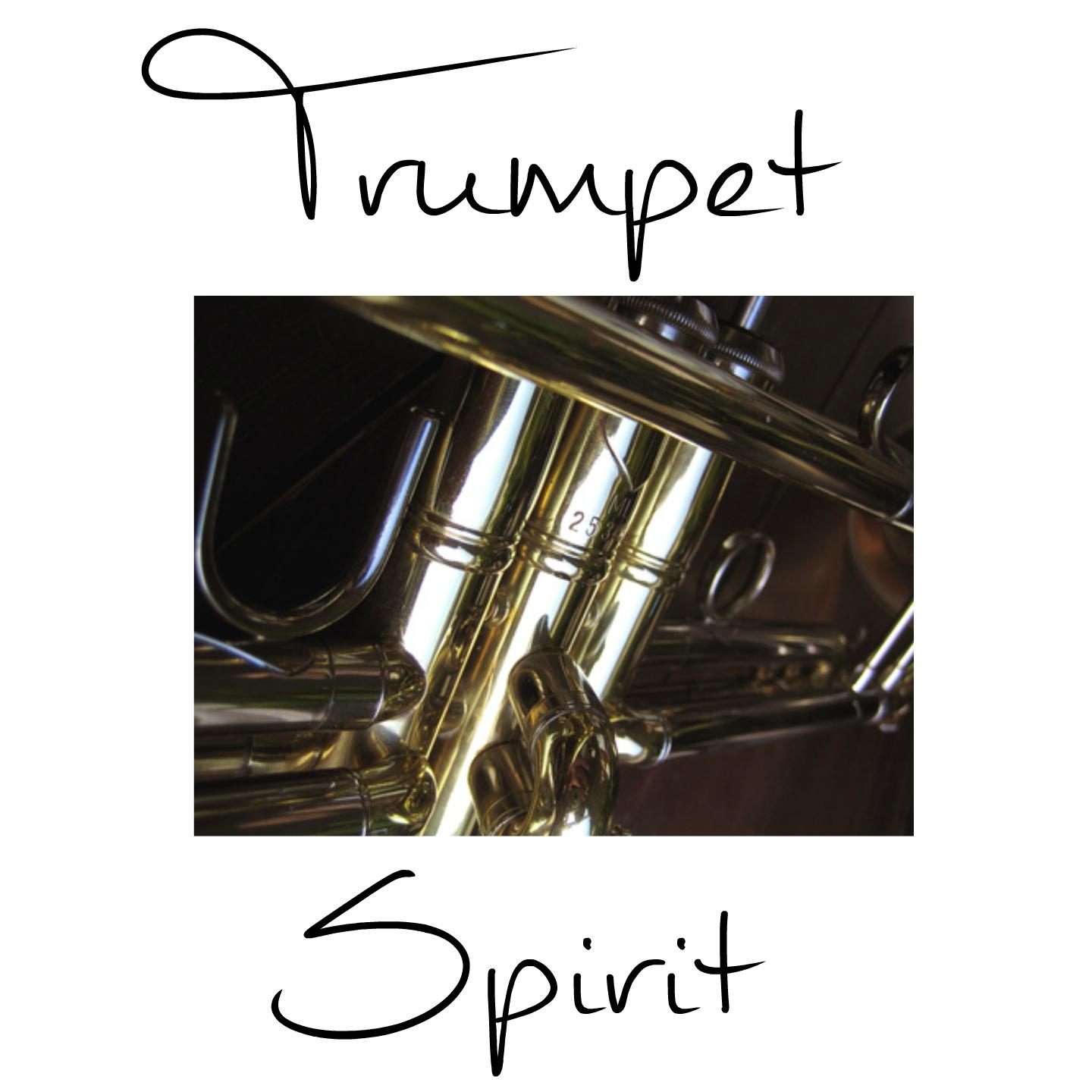 Concerto for Trumpet, Brass Ensemble and Percussion: I. Allegro moderato