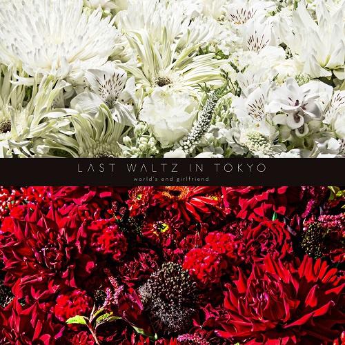 Les Enfants du Paradis (LIVE)