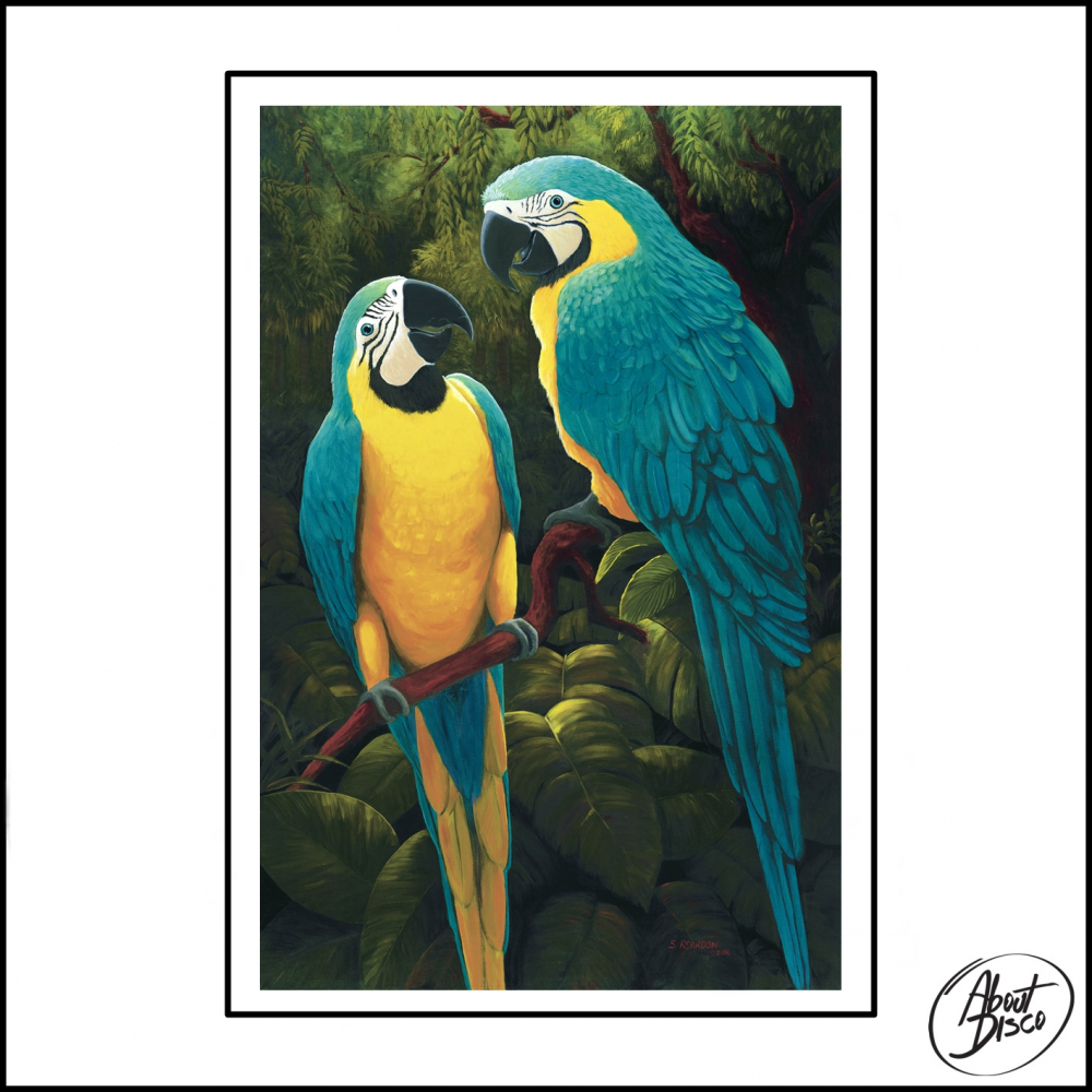 Coming From The Congo (Original Mix)